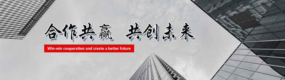 迈承国际贸易（上海）有限公司-